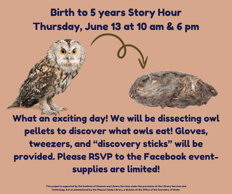 Birth to 5 years Story Hour Thursday, June 13 at 10 am & 6 pm.png