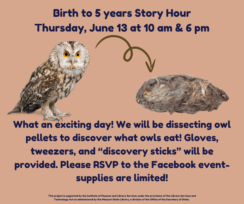 Birth to 5 years Story Hour Thursday, June 13 at 10 am & 6 pm.png